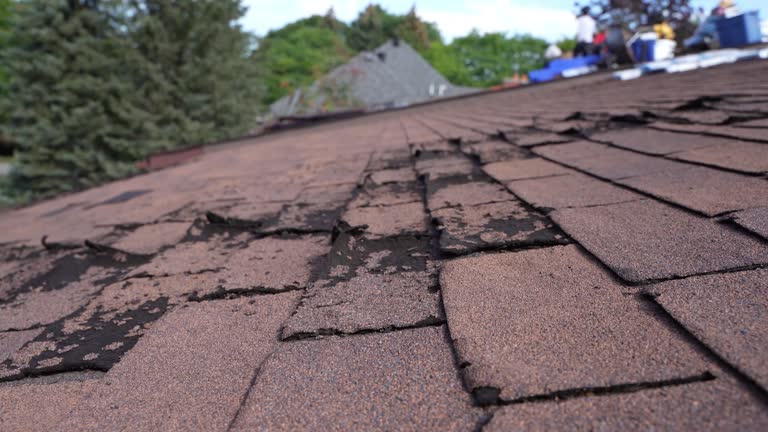  Salem, AR Roofing Service Pros